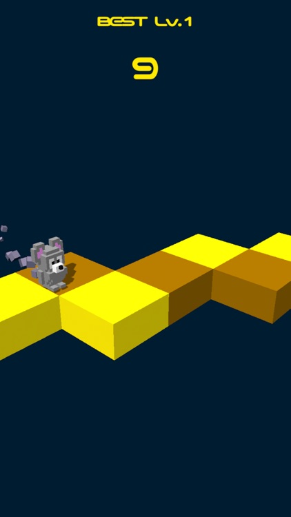 Where is the cheese!?