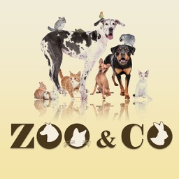 Zoo & Co