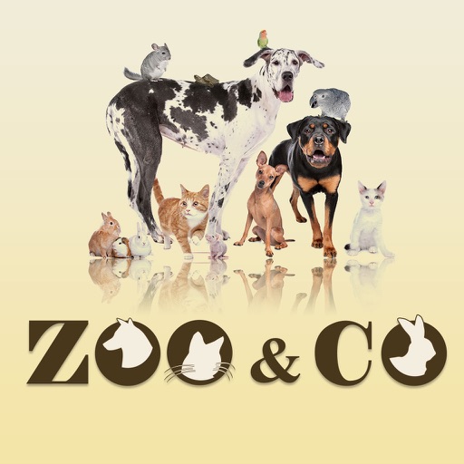Zoo & Co icon