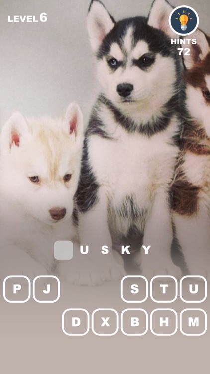 Dog Genius – photo trivia with puppies in makeup screenshot-4