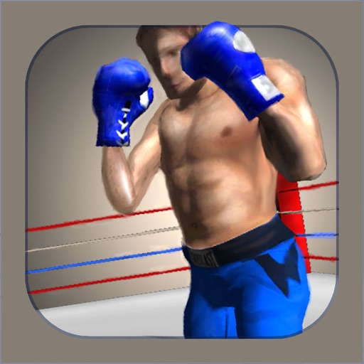 Steely Boxer Icon