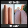 Hot Dogs Or Legs