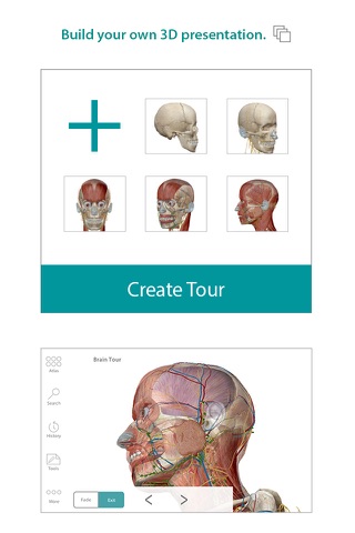 Human Anatomy Atlas – 3D Anatomical Model of the Human Body screenshot 3