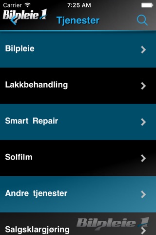 Bilpleie 1 screenshot 3