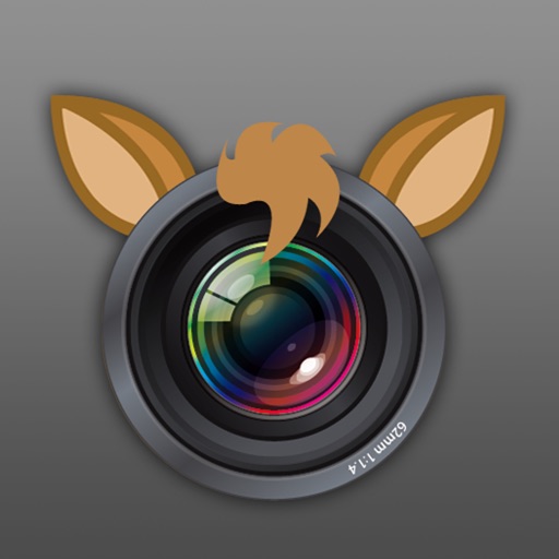 Camera HD for baby icon