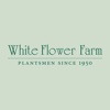 White Flower Farm