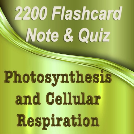 Photosynthesis and Cellular Respiration icon
