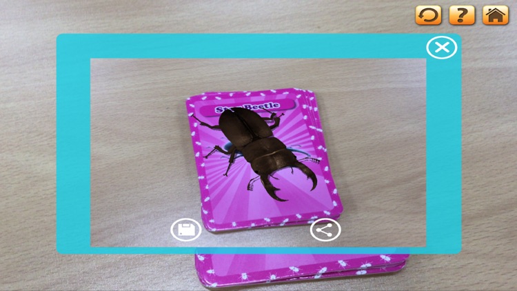 3D LEARNING CARD BUGS screenshot-3