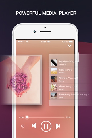 Free Music Online and MP3 Player Manager - náhled