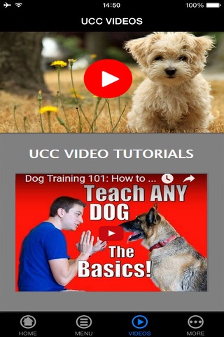 Why Dog Owner's Delight Will Change Your Life screenshot 3