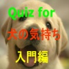 Quiz for 「犬の気持ち」入門編