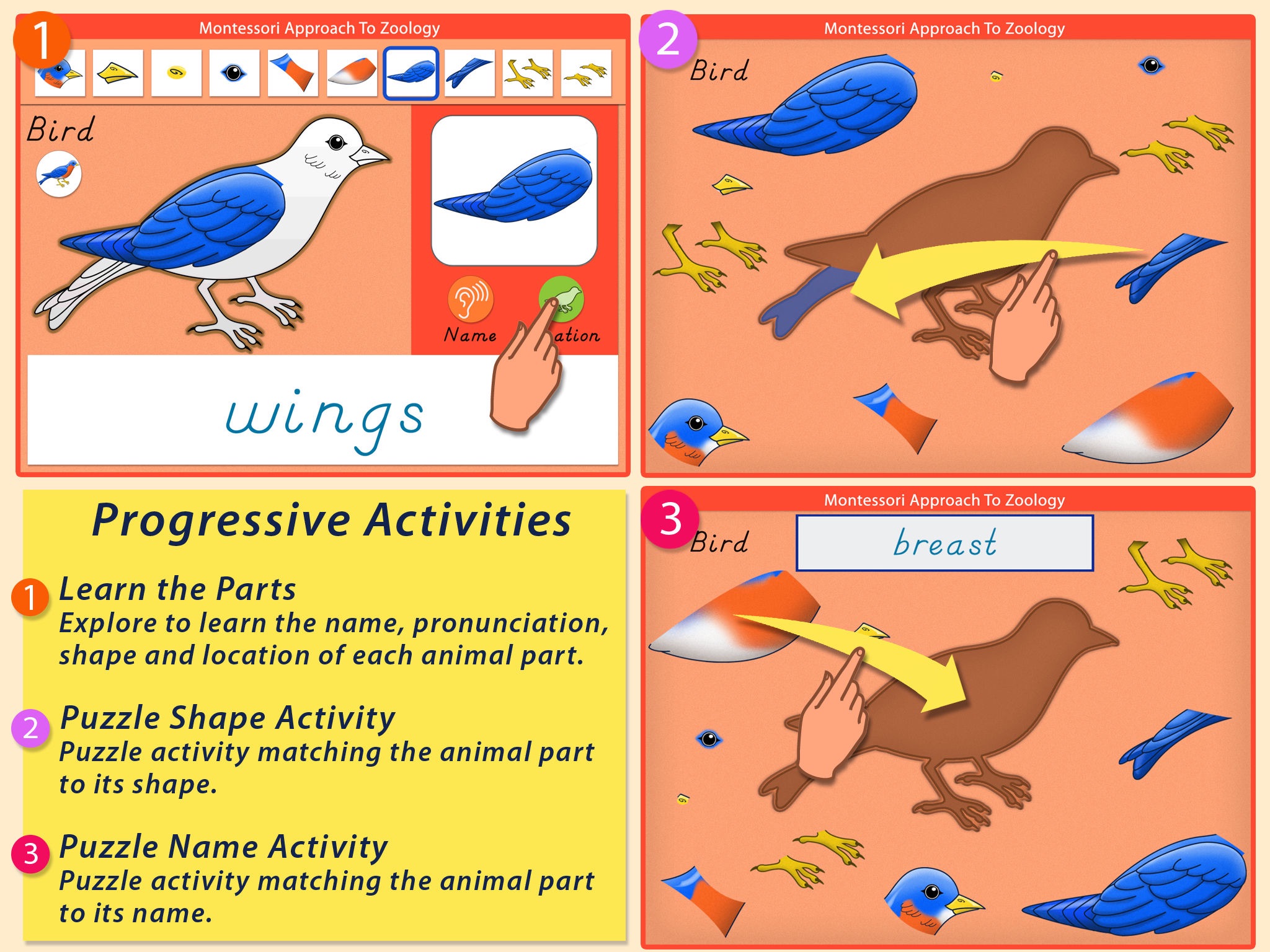 Parts Of Animals (Vertebrates) LITE - A Montessori Approach to Zoology HD screenshot 3