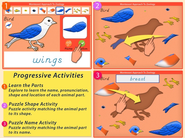 Parts Of Animals (Vertebrates) LITE - A Montessori Approach (圖3)-速報App