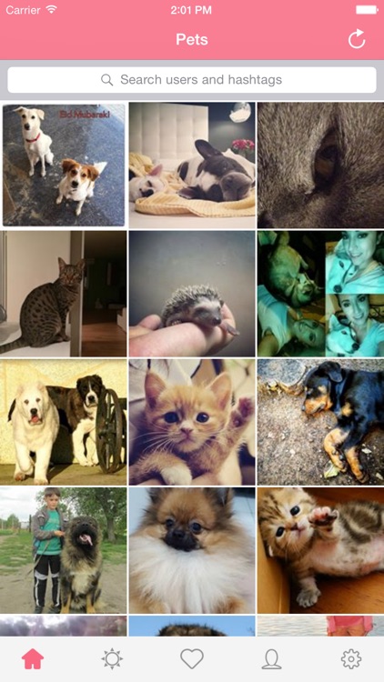 Repost Pets for Instagram-Repost&Regram Photos and videos for Instagram