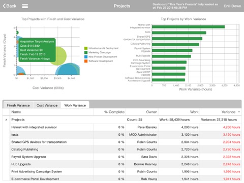 Office 365 Project Portfolio Dashboard screenshot 2