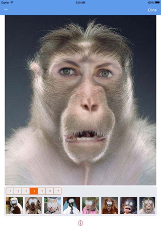 Humorous photo processing software - Replace Face screenshot 2