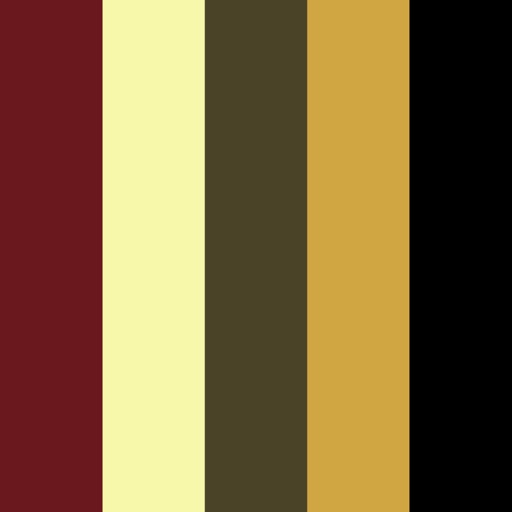 Color Design icon