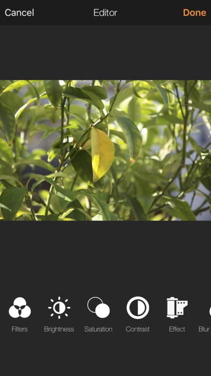 iPhoto Editor Plus - Blemish & Crop Photo Edit, Color Fil