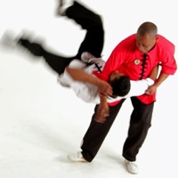 Shaolin Kung Fu Expert apk