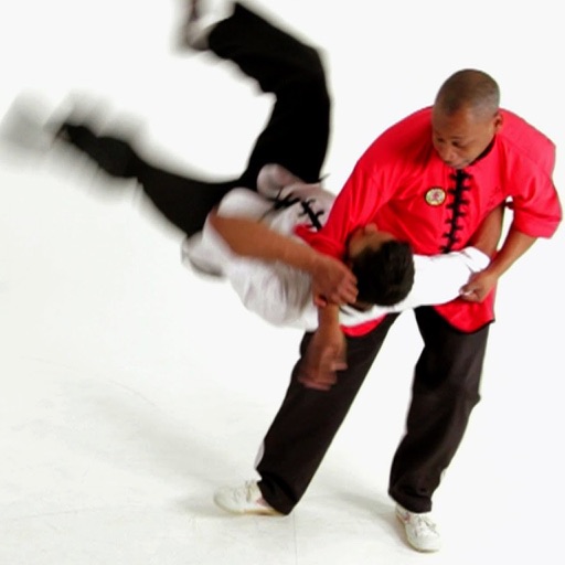 Shaolin Kung Fu Expert icon