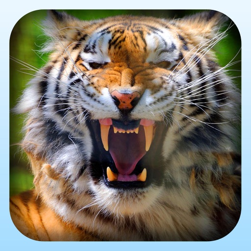 2016 Jungle Hunter -  Ultimate Safari Shooting icon