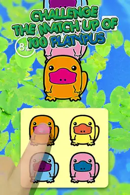 Game screenshot Platypus 100 Mini Adorable Animals Friends | A Matchup Challenge Gamebattles apk