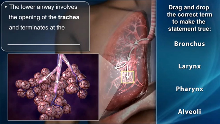 Pediatric Medical Emergencies screenshot-3