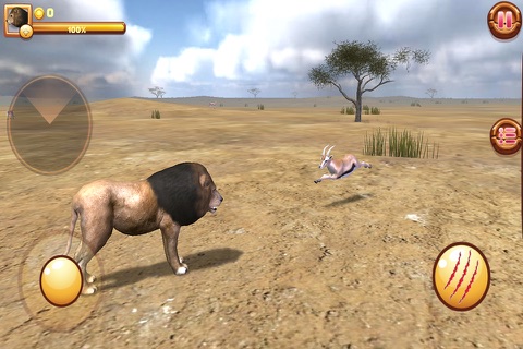 Wild Lion Adventures screenshot 2