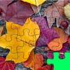 Jigsaw Leaves A Lovely Jiggy Packs Puzzles Leafy Images