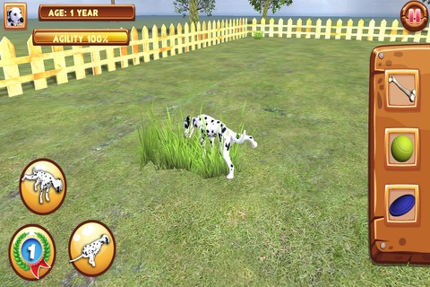 Play with your Dog: Dalmatian screenshot 3