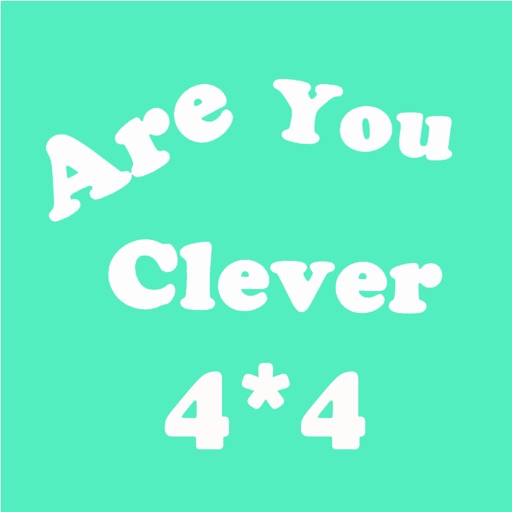 Are You Clever - 4X4 Puzzle Pro icon