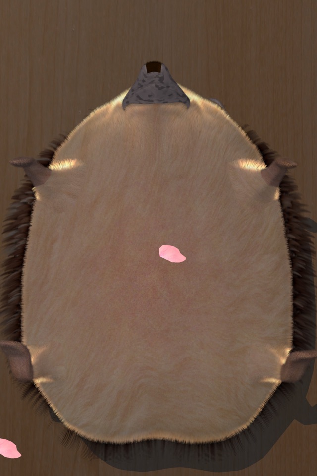 Super Belly Rub: Hedgehog Massage Parlor screenshot 4