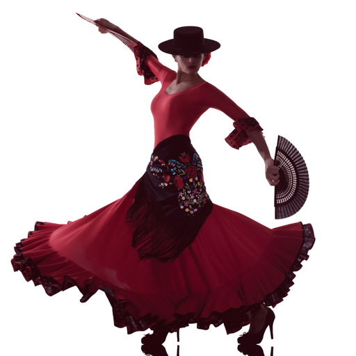 Flamenco Dance Steps