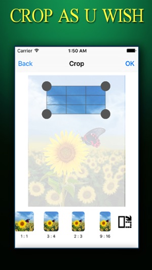 CROP PHOTO ++ Crop Photos Instantly With