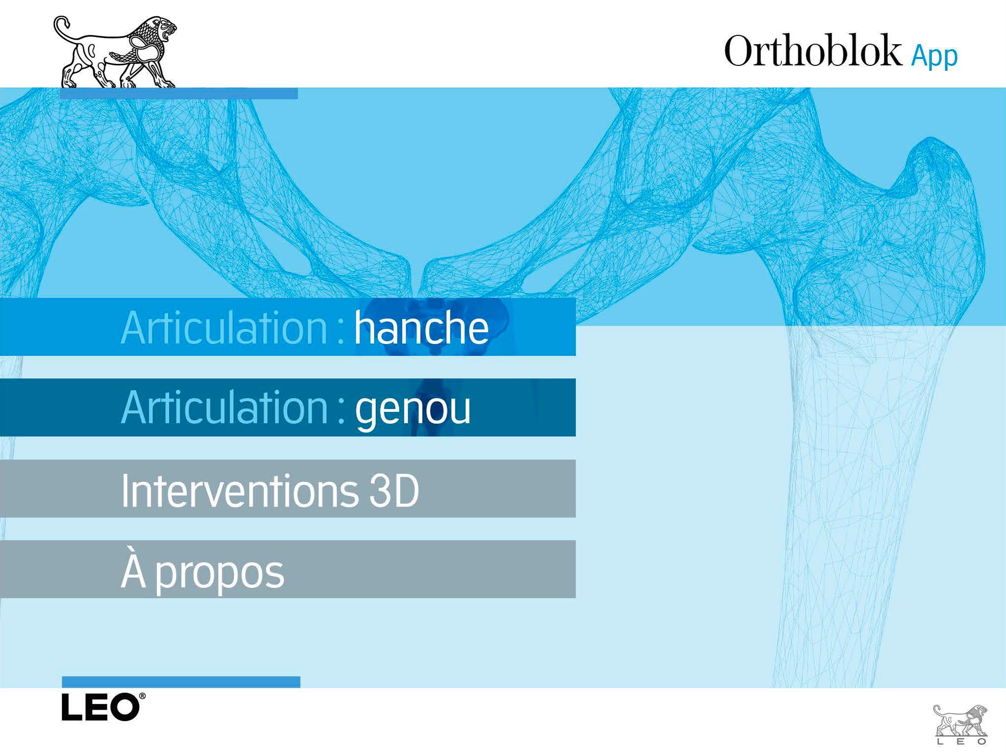 Orthoblok HD screenshot 2