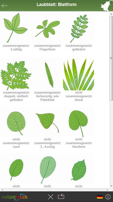 Pflanzen Bestimmen Nach Blattform - Blatt für Blatt: Über 800 Pflanzen