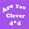 Are You Clever - 4X4 N=2^N Pro