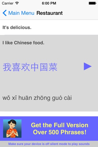 Speak Chinese Phrasebook Lite screenshot 3