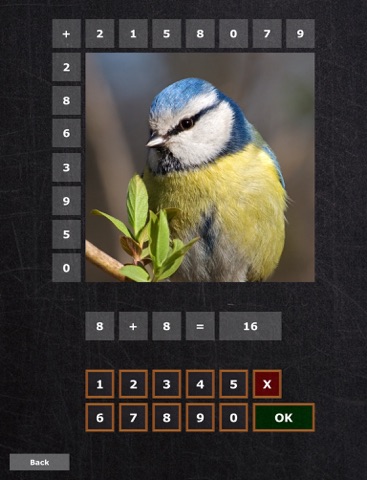 Math Puzzle for kids screenshot 4