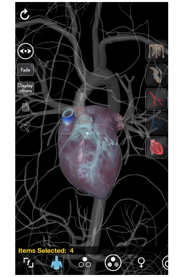 3D Organon Anatomy - Heart, Arteries, and Veins screenshot 3
