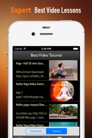 Hatha Yoga 101: Techniques and Tutorials screenshot 3