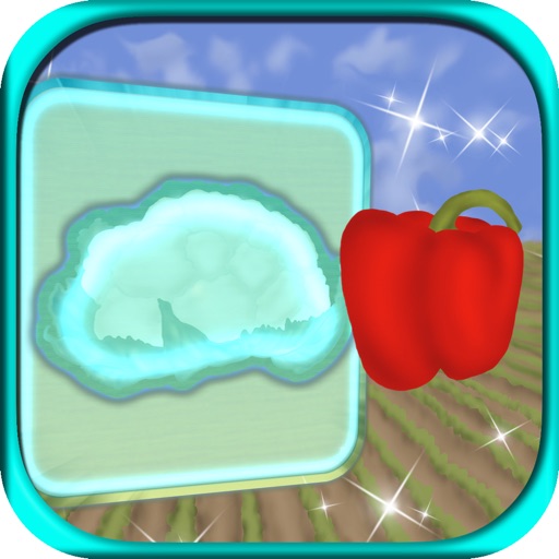 Learn About Vegetables Wood Match icon