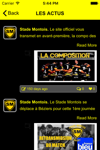 Stade Montois screenshot 3