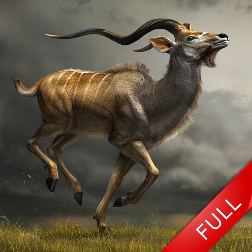 2016 Deer Hunting New Adventure Full - Wild Shooting challenge icon