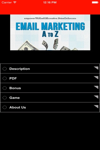 Email Marketing A to Z ebook screenshot 2