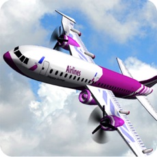 Activities of Airplane Flying 2016