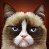 Grumpy Cat Wallpapers HD: Quotes Backgrounds with Art Pictures