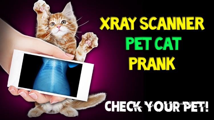 Xray Scanner Pet Cat Prank