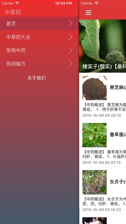 中草药中药材知识大典 - 常见中草药功效与作用阅读手册