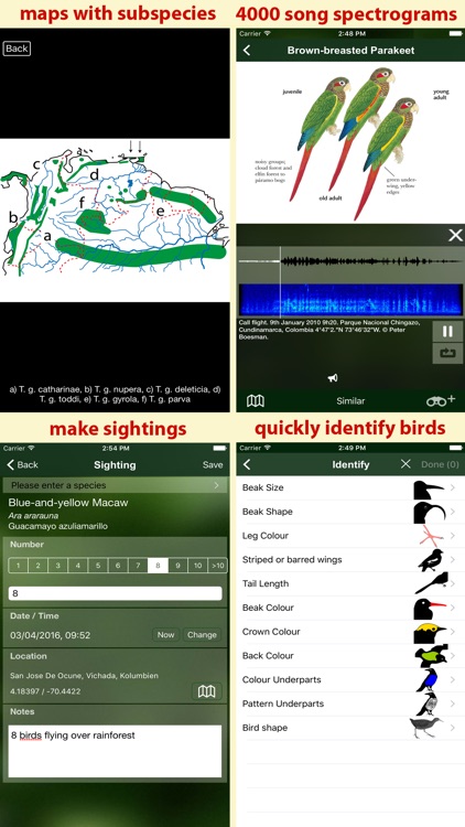 All Birds Colombia - a complete field guide to all the bird species recorded in Colombia screenshot-4